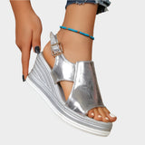 Anatomické platformy